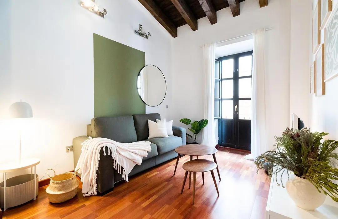 Apartamento con Encanto, Centro Granada-1